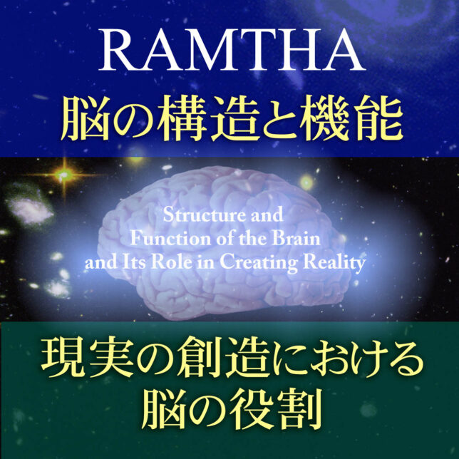脳の構造と機能、現実の創造における脳の役割